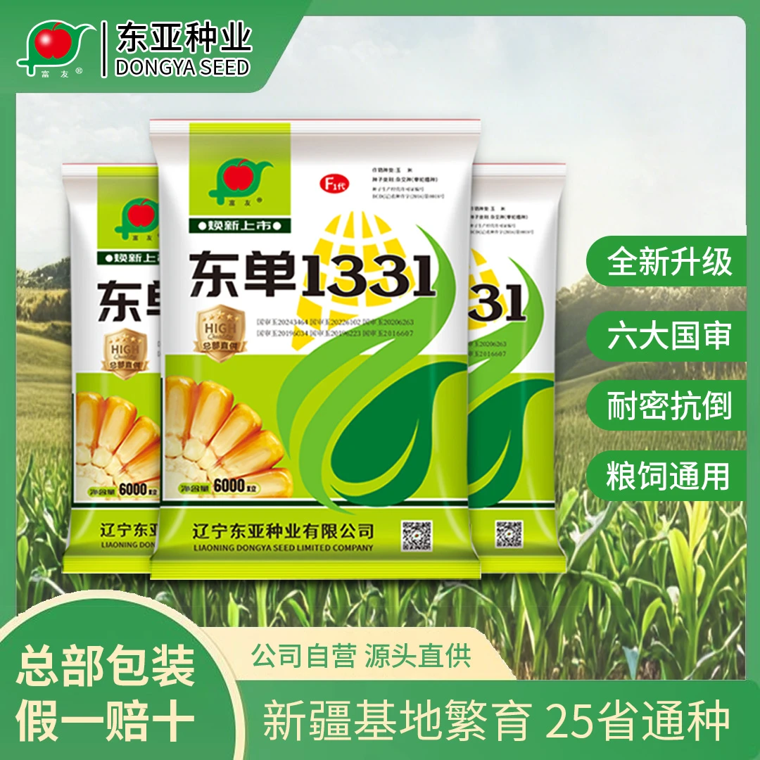 【26新品】东单1331爆款玉米种六国审耐密抗倒广适粮饲通用热卖