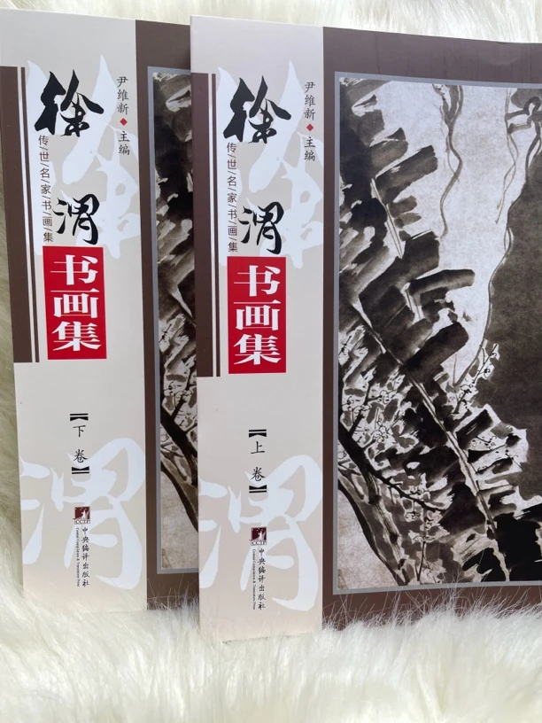 徐渭书画集上下册