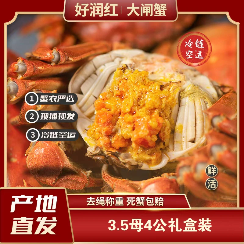 好润红【全活蟹现货】江苏鲜活大闸蟹3.5两母4两公4对8起只礼盒装