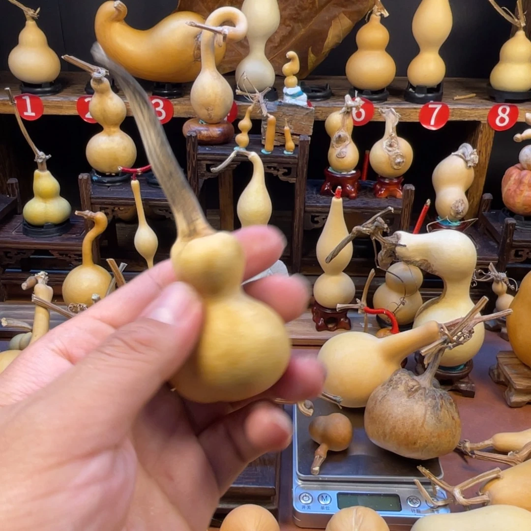 白***粥葫芦葫芦真的很好看很有