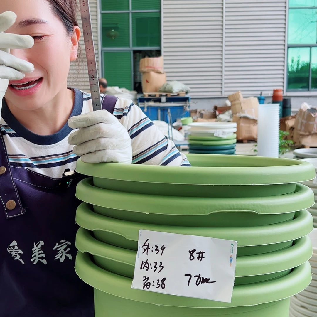 瑕疵四季盆8#果绿5个无托