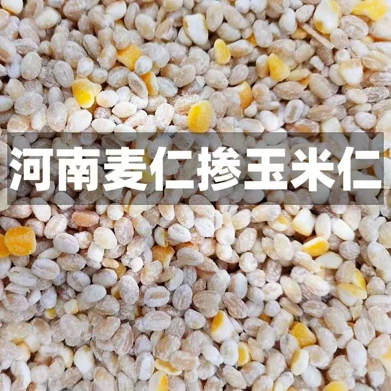 舒凯低糖玉米糁小麦仁混合型谷物杂粮常温煮粥营养早餐