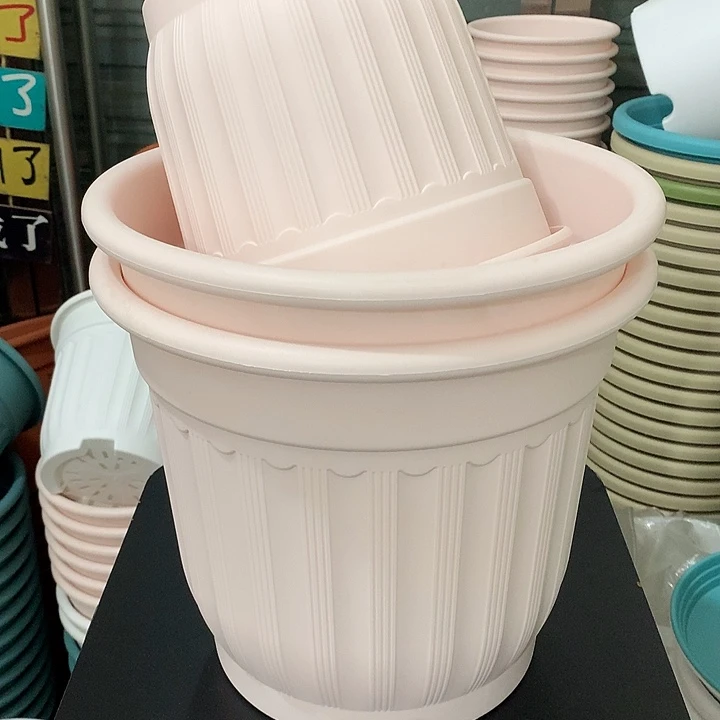 罗马口32粉口24粉各2个带托