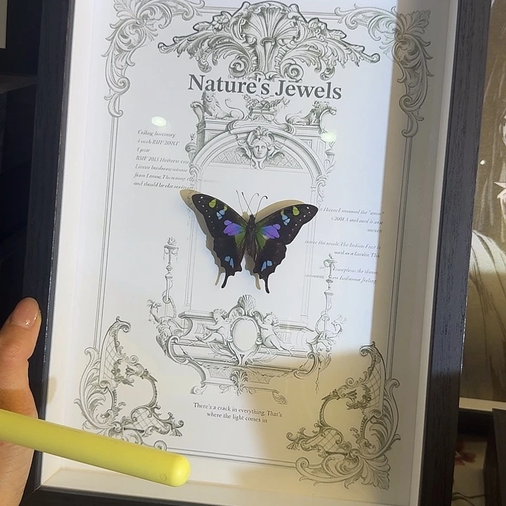 大框109蝴蝶蝴蝶蝴蝶