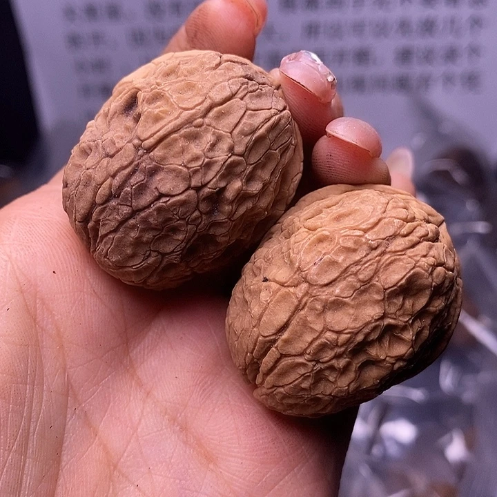 核桃云南野生铁核桃168号35mm