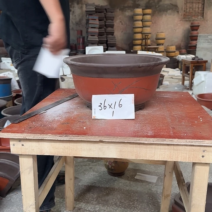 紫砂花盆景盆景盆