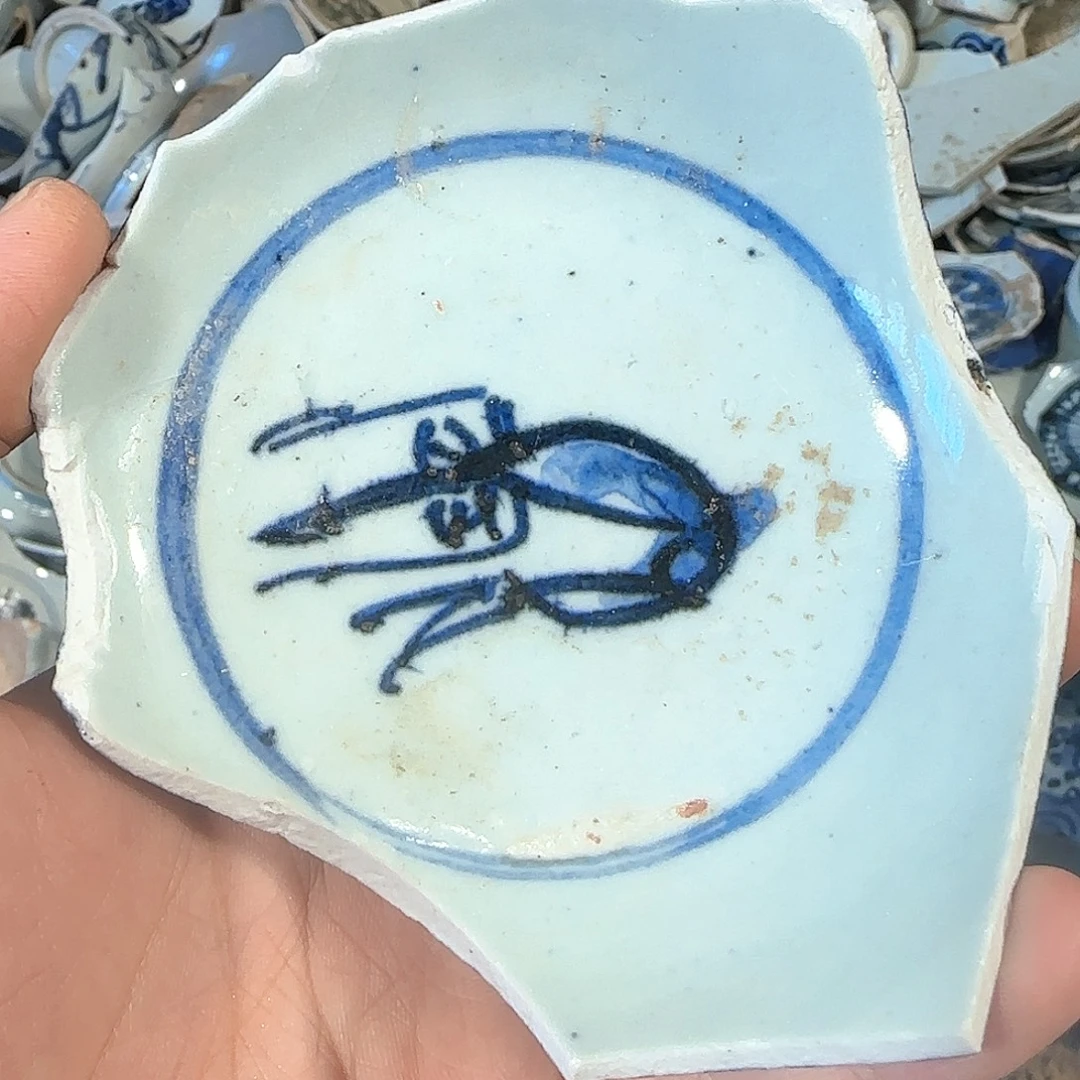 瓷片瓷片标本，顺丰包邮