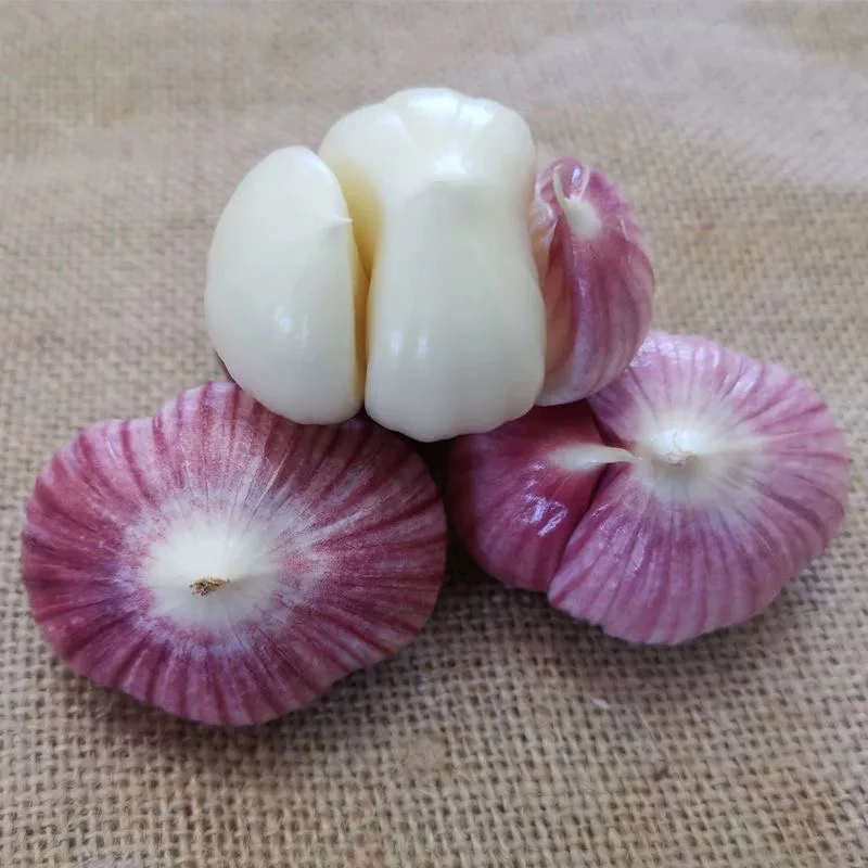 云南特产新鲜紫皮三瓣蒜