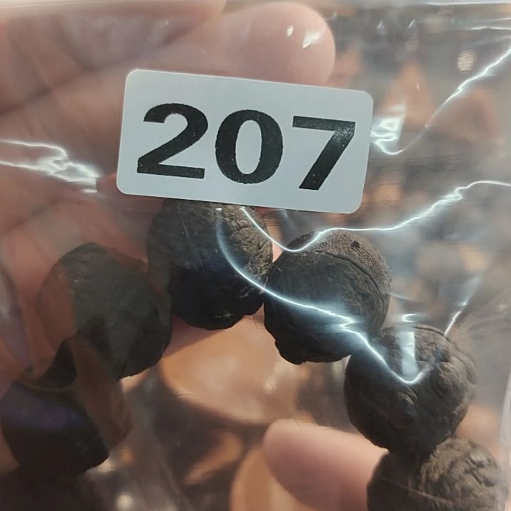 文玩核桃吊坠中*强文玩核桃