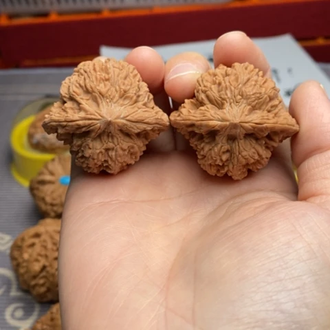 把件文玩核桃40满天星精品大粗棱