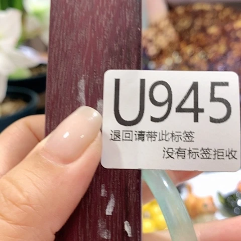 大叶紫檀（黑酸枝木类）945