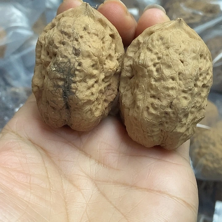 把件文玩核桃云南铁核桃基地4