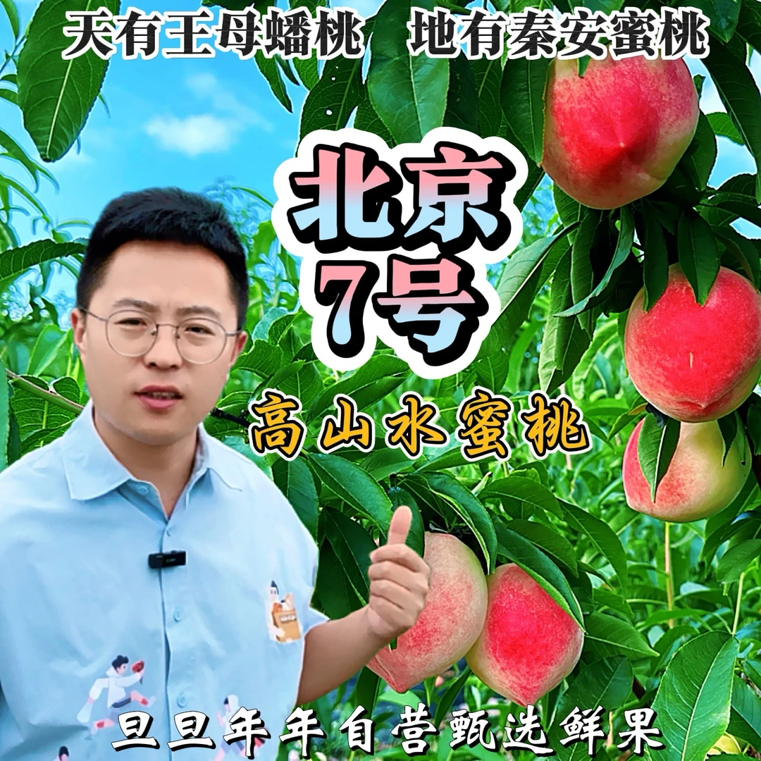 【年年自营】黄土高原甘肃秦安高山〈北京7号〉头茬臻品水蜜桃