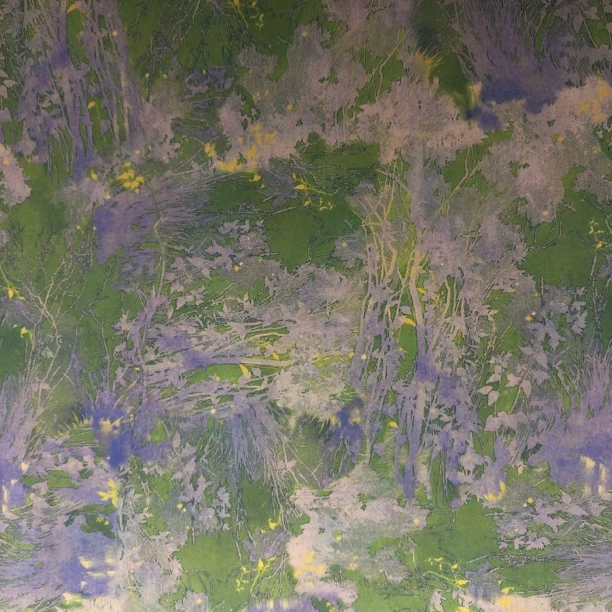 金小兔荣誉出品高密醋酸染底丝光棉贡缎绿野仙粽面料