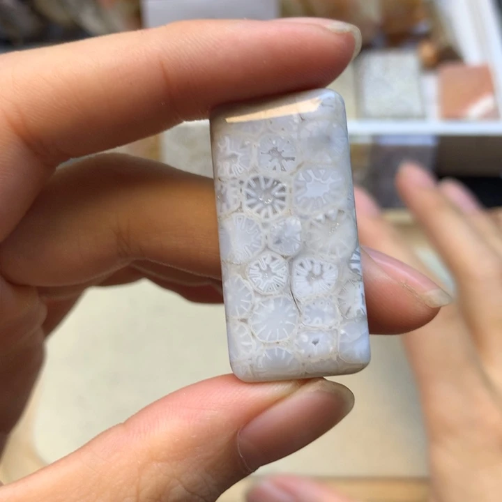 妙***灵硅化珊瑚（珊瑚玉）未镶嵌颈饰