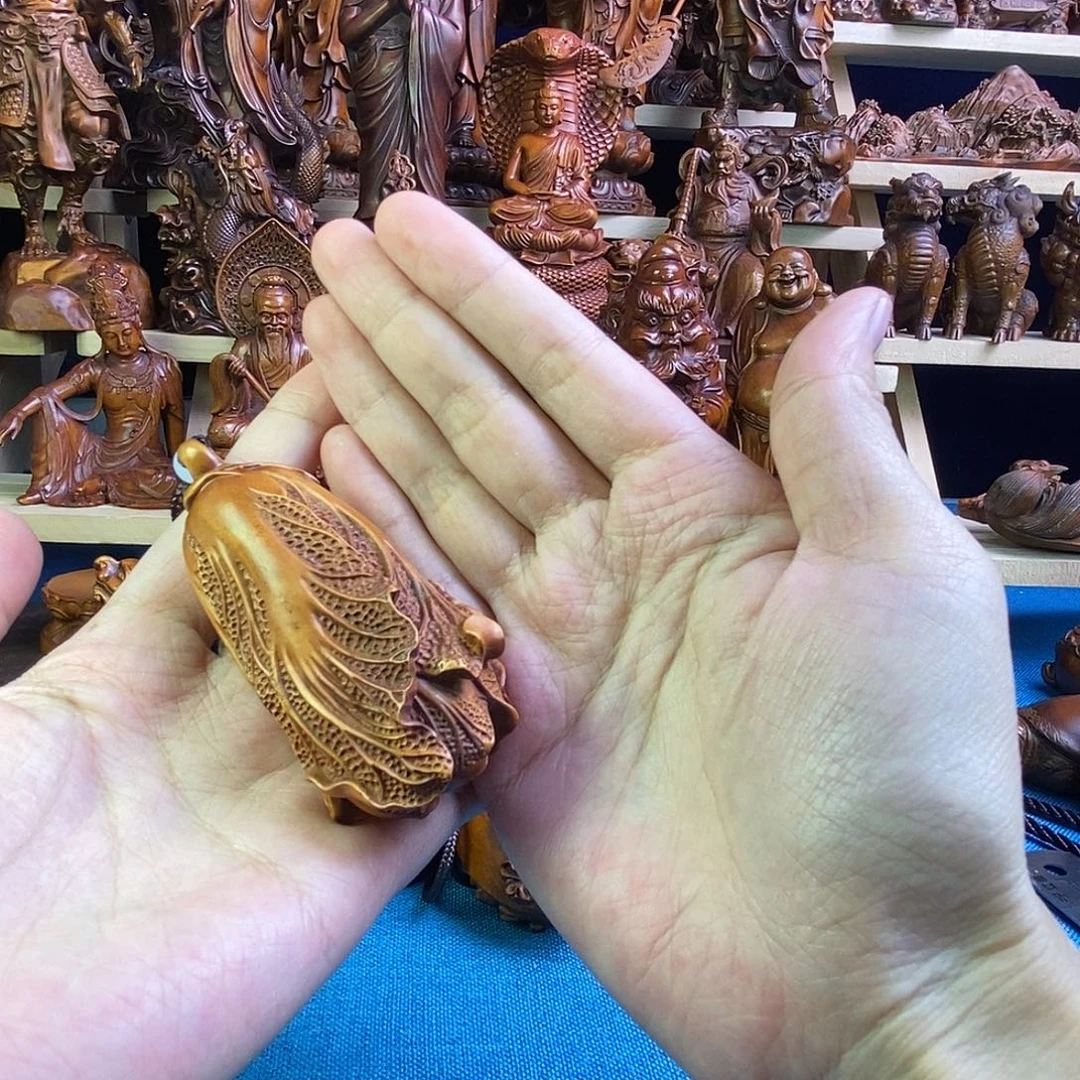 提***下黄杨木小叶黄杨木