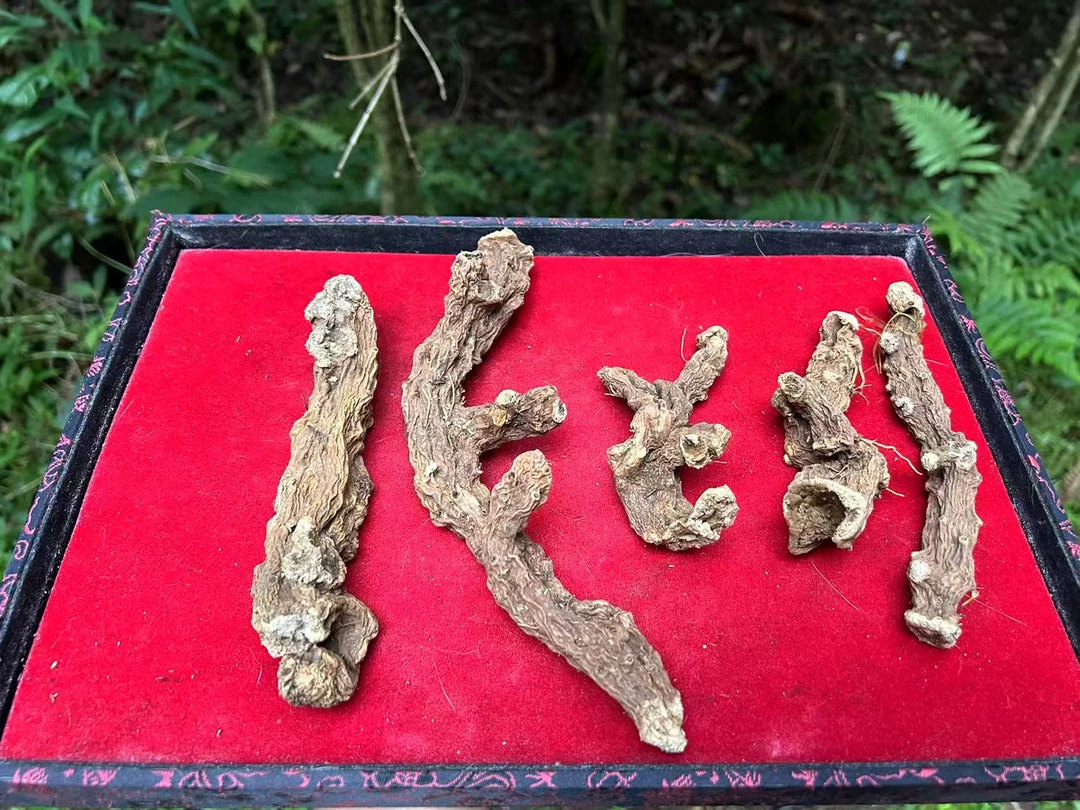 【印-兲-珑】净含量250g-500g【阿婷现收】 非菇类
