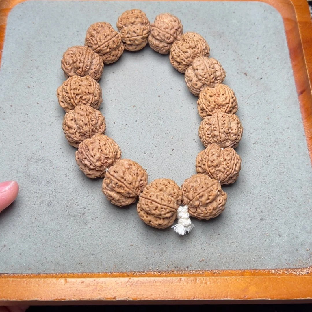 菩提3号金刚菩提深沟梅花23