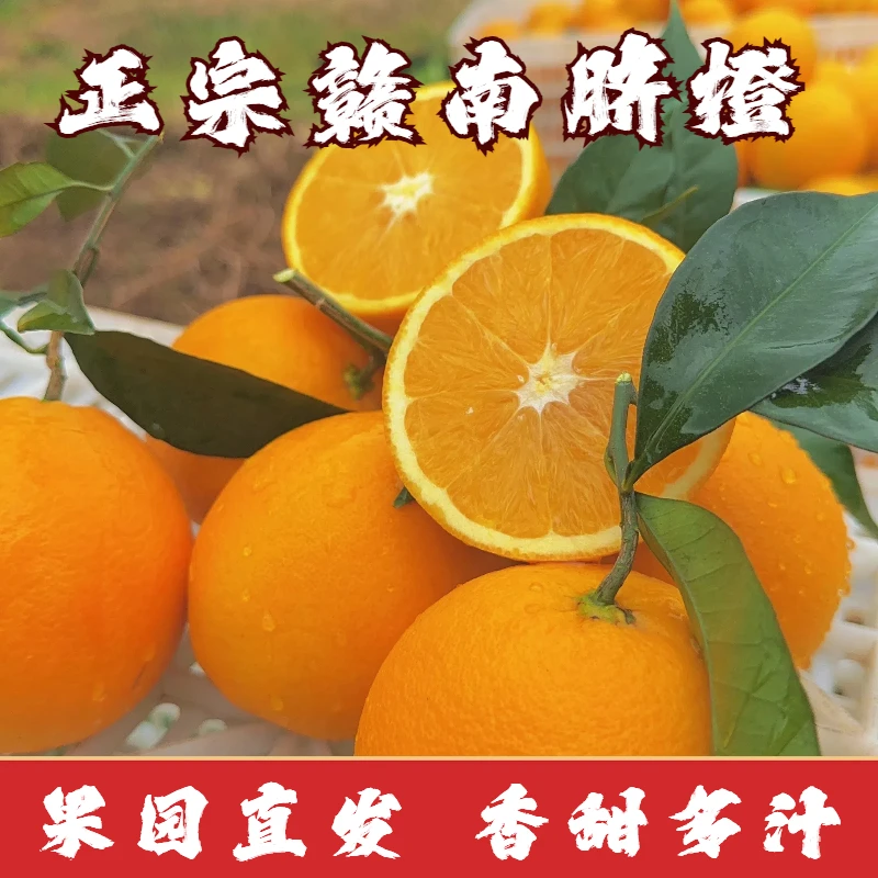 正宗精品赣南脐橙整箱10斤新鲜采摘果园直发当季水果肉嫩多汁卷王