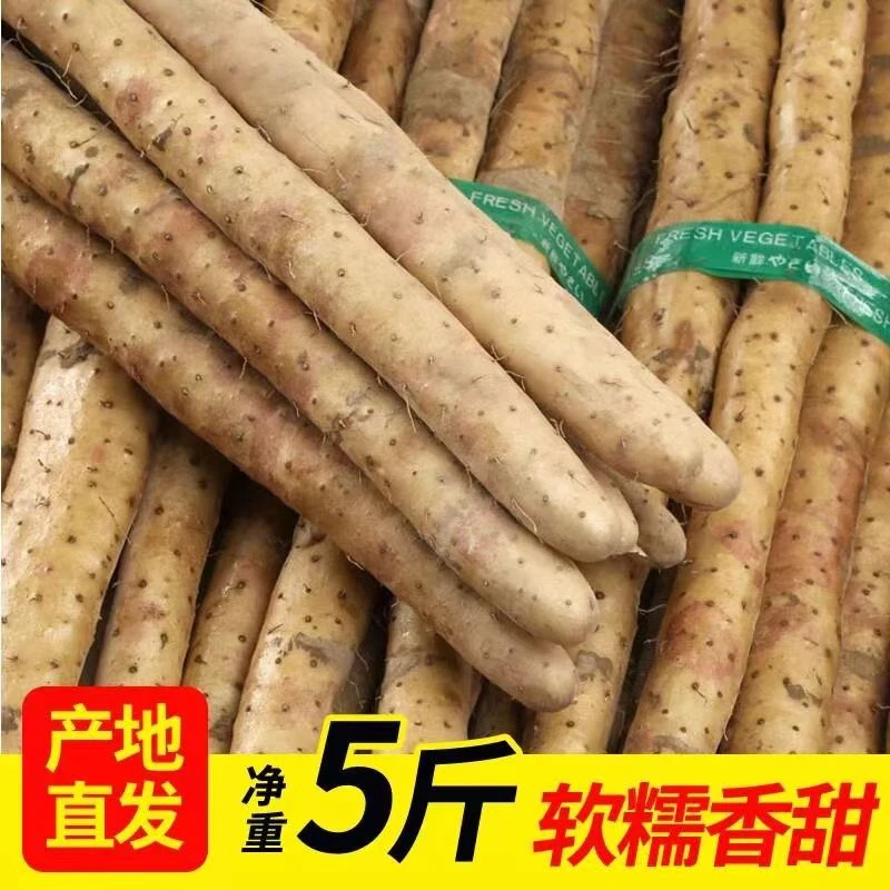 【助农补贴】精品淮山药本地特产产地直发5斤铁棍山药装