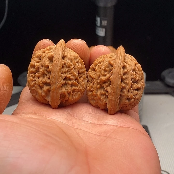 把件文玩核桃39尺蚂蚁王