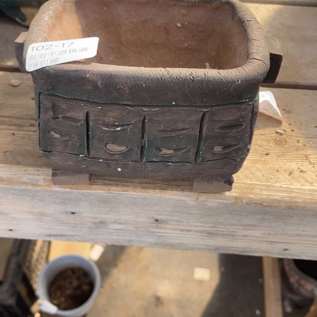 号7号多肉盆口径9.5