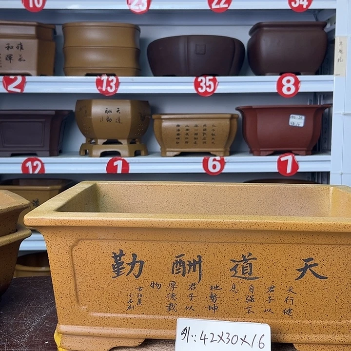 花盆紫砂蛇年大吉