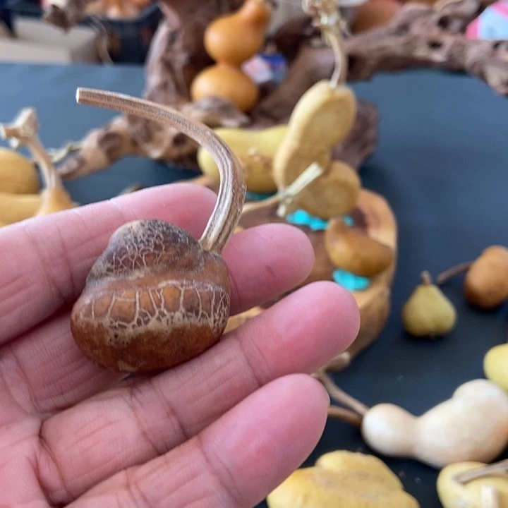 迷****gdxbxdjxjjxxds