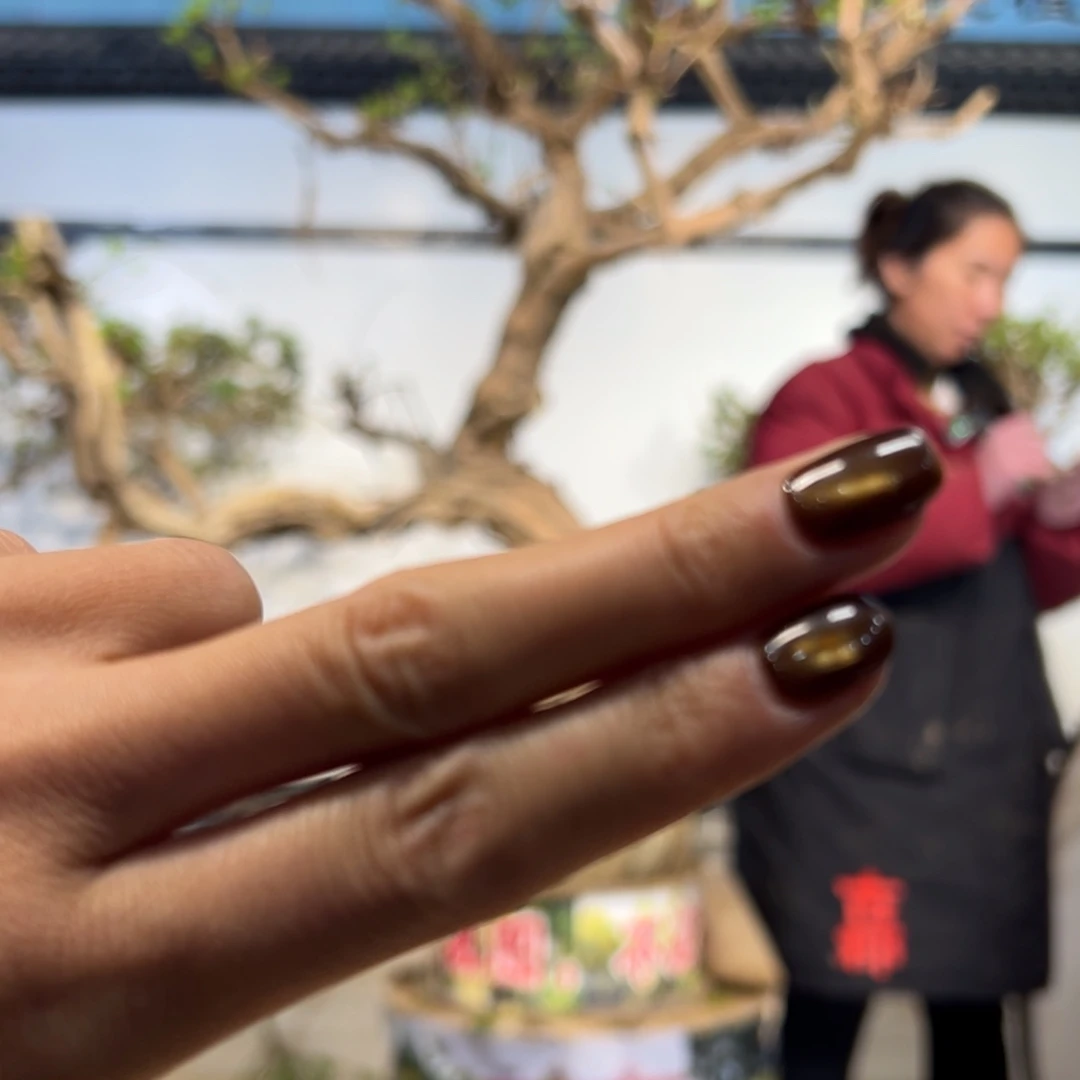 完全开放金银花5588888888