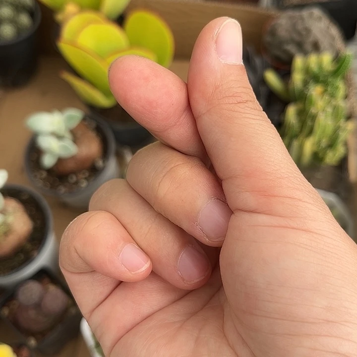 Z***弟我也不知道我为什么会59