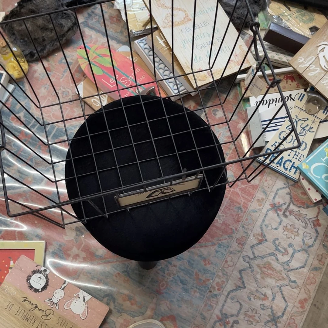 常***顺安提克斯拍了说已拍