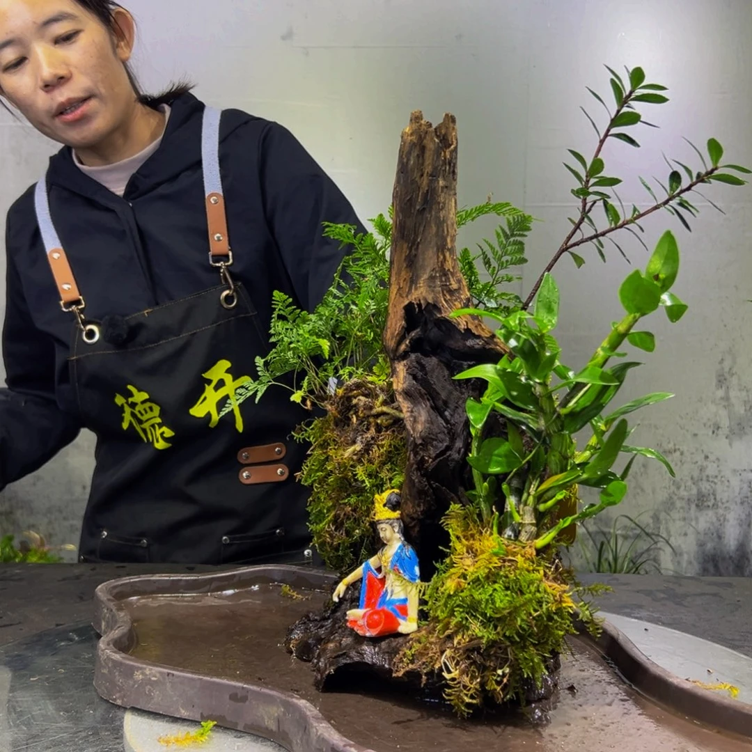 无花朵九色木，室内风化木绿植，一木一景！