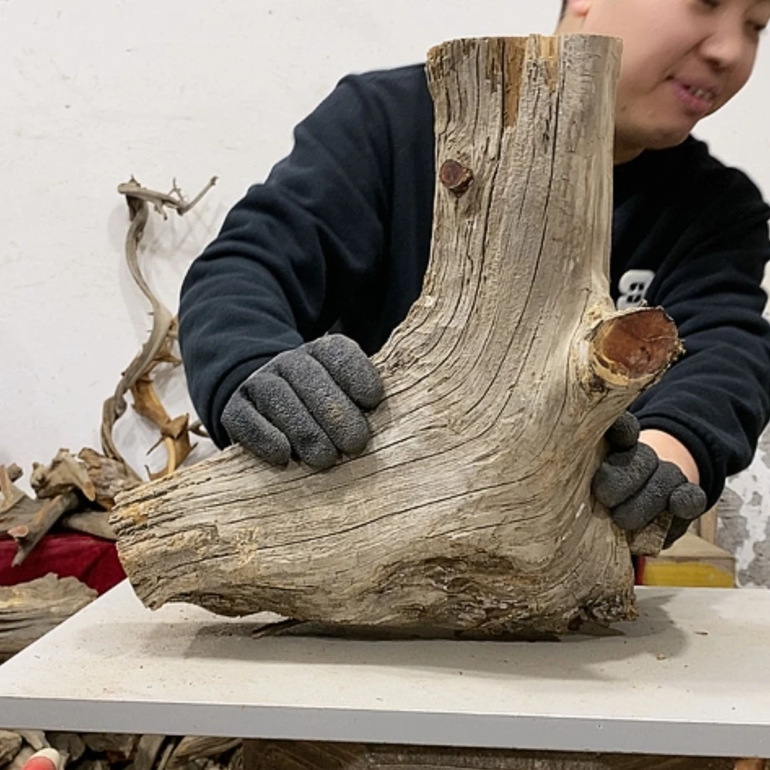 【闪购商品】柏木龍***工我们都是好孩子