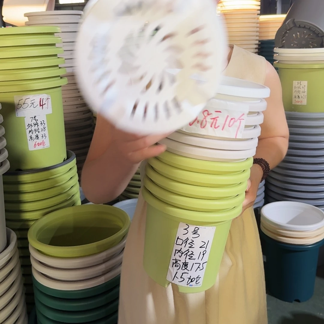 微瑕3#口径21无拖果绿10个