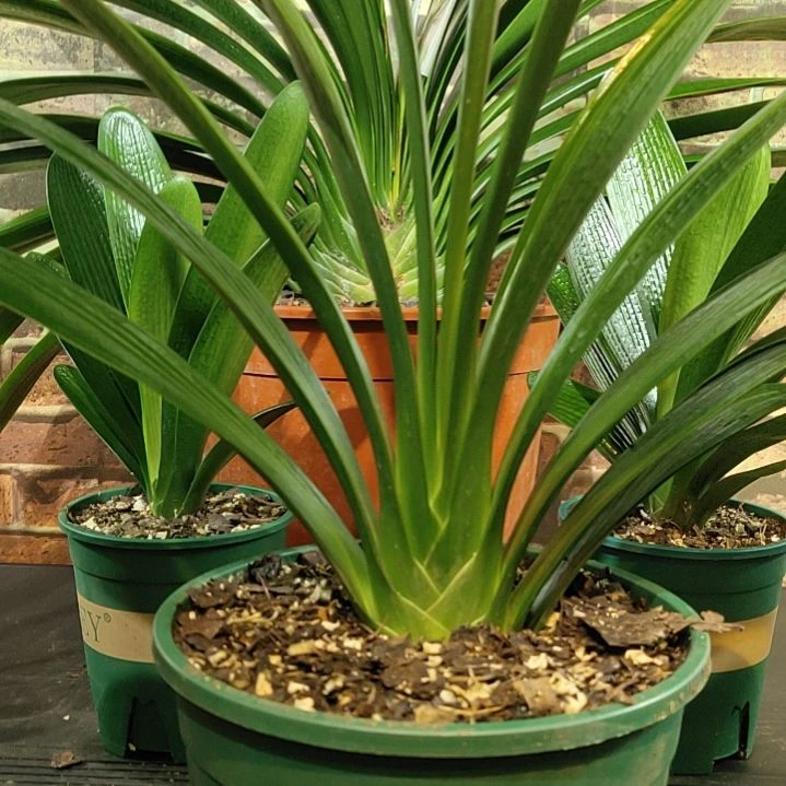 完全开放111111111