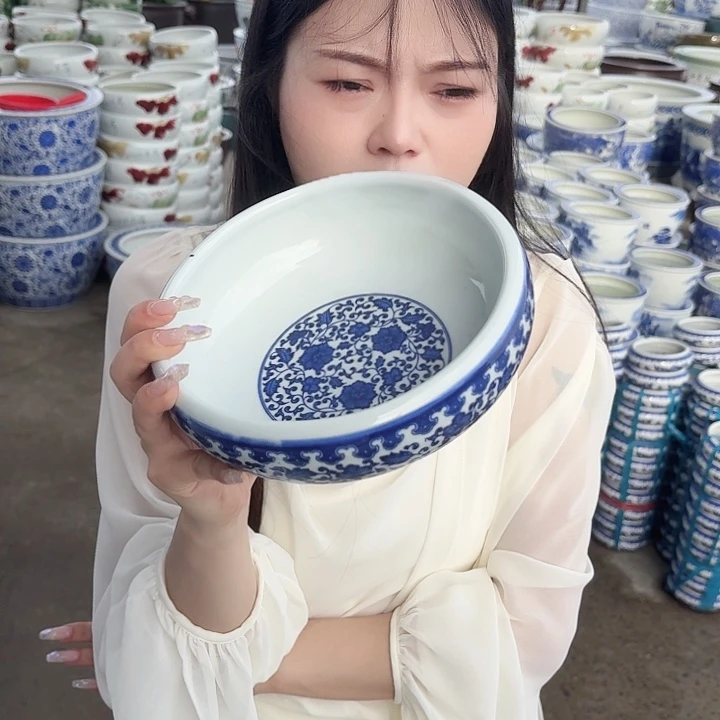 瓷片口径20厘米 高度6厘米