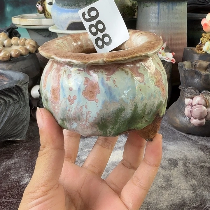 重庆小燕子欢迎大家886