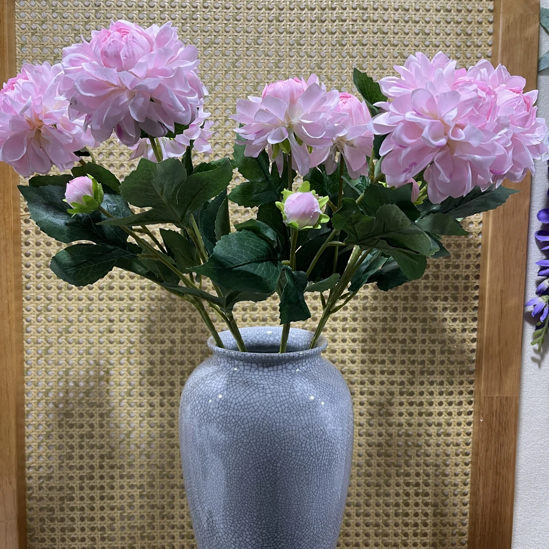 清库存大丽花10支不含瓶