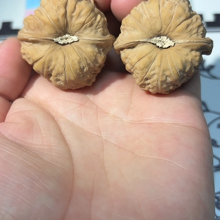 吊坠桃核40南瓜墩