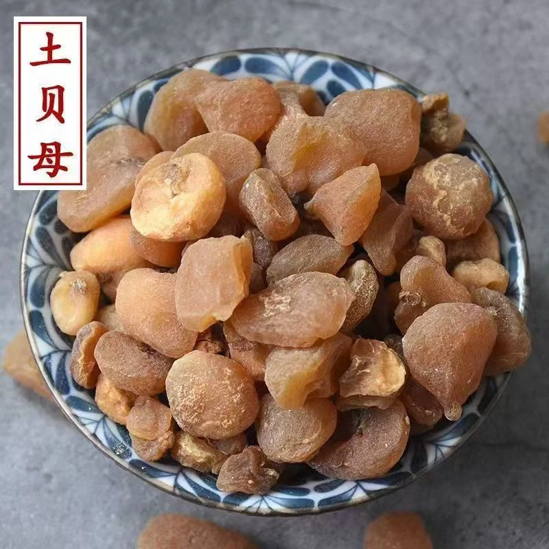 土贝母 精品土贝母