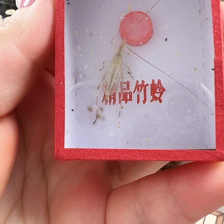 浮***斯哈哈哈哈哈天水一个