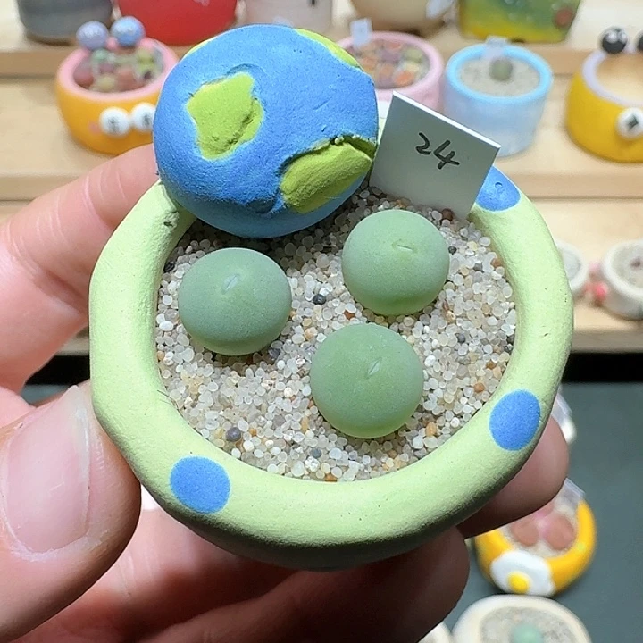 红陶蘑菇593鸽子蛋