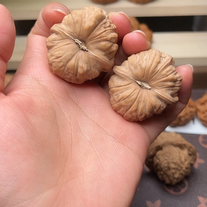 核桃38全品南瓜墩