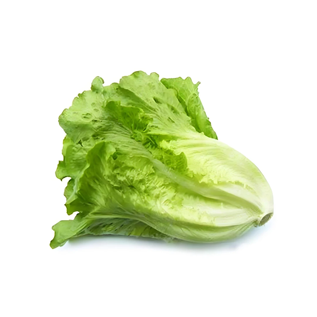 【精品】意大利大叶生菜400g±50g绿色蔬菜生菜