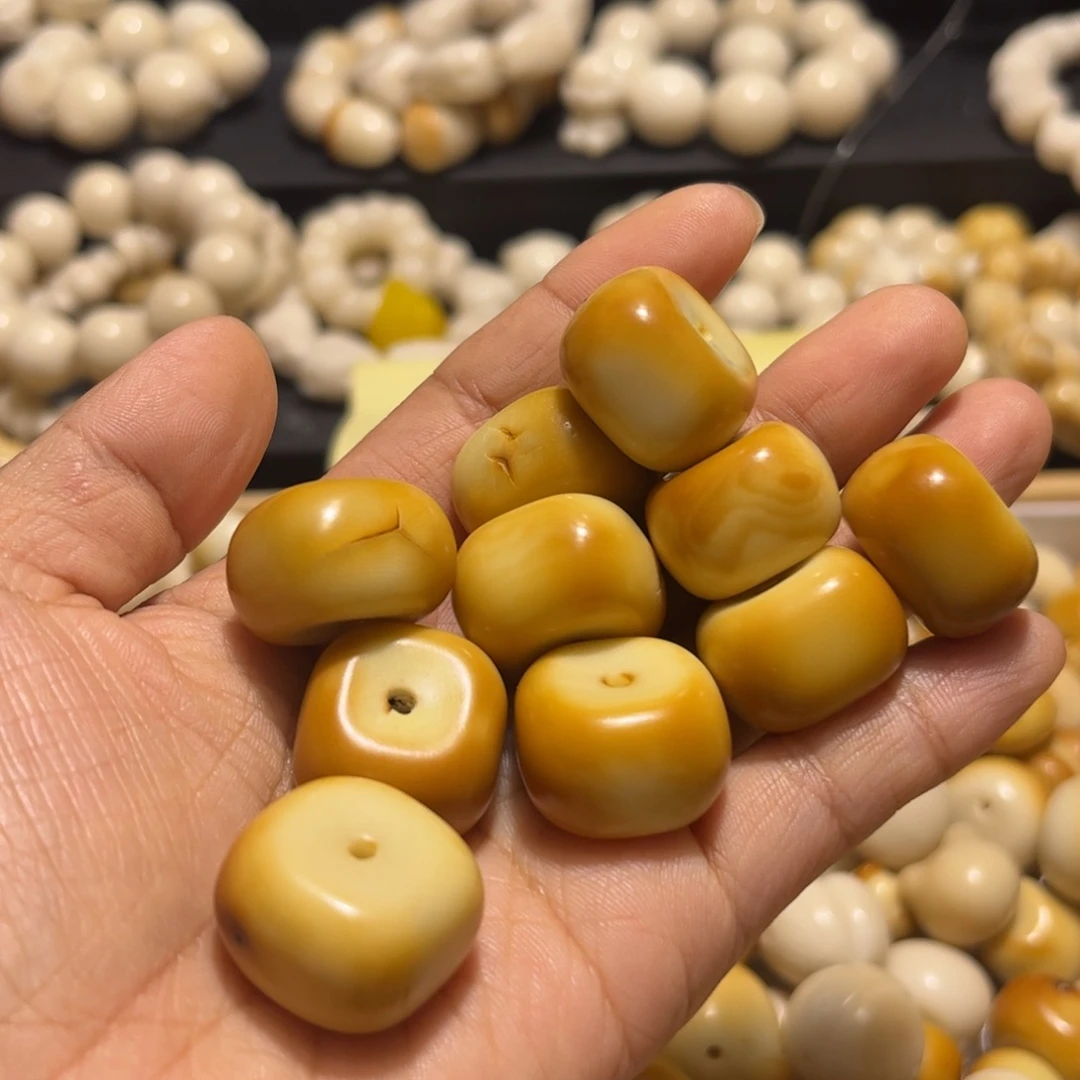 吊坠菩提根/象牙果大瑕疵10颗