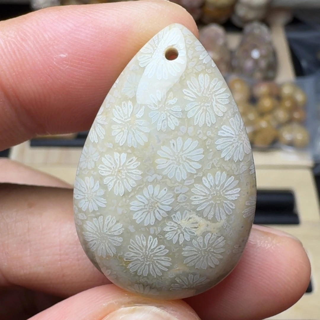 硅化珊瑚（珊瑚玉）未镶嵌纯天然色有机玉石保真色