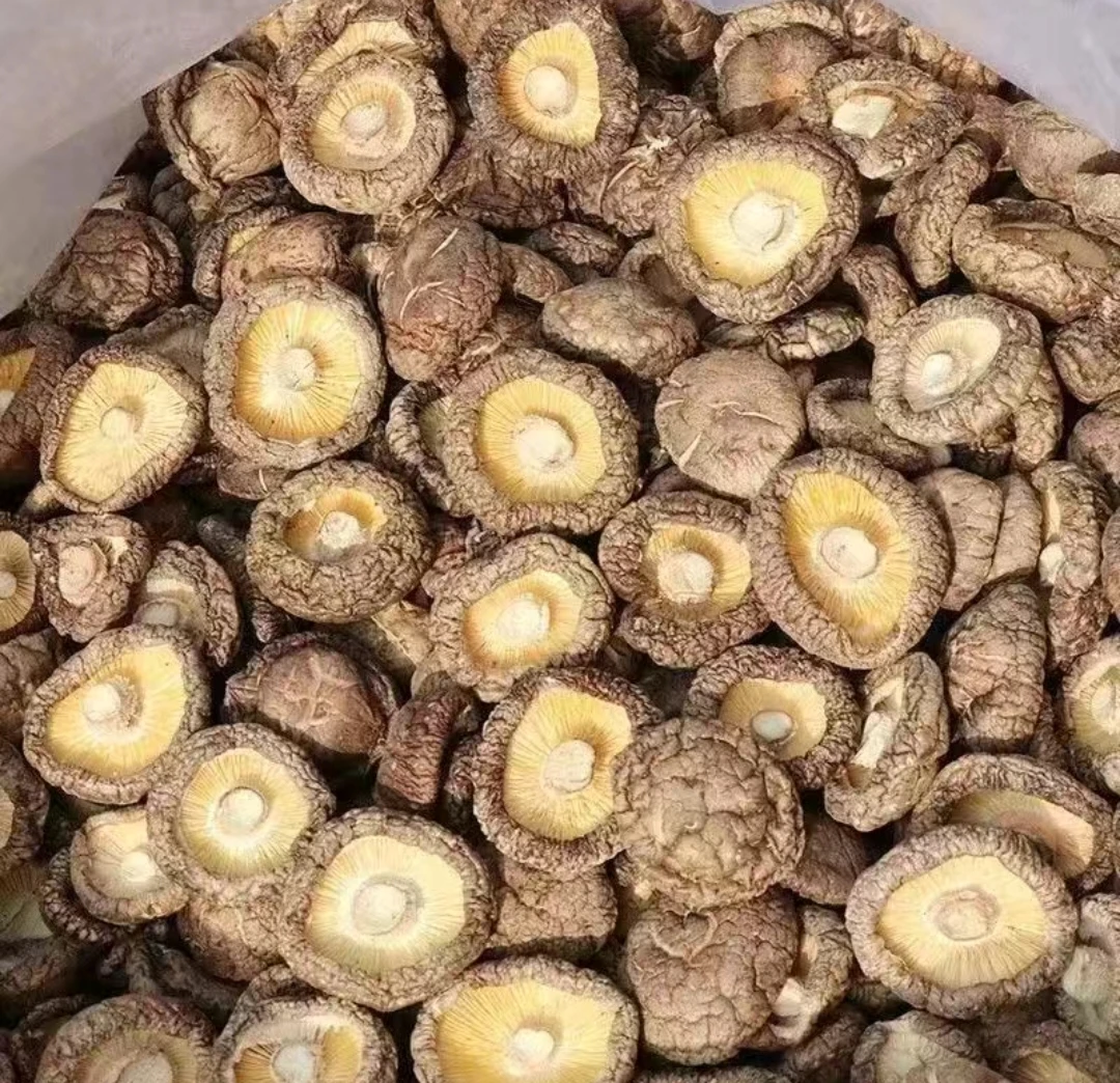 新鲜特产香菇干货无硫无根肉厚菌香浓郁煲汤