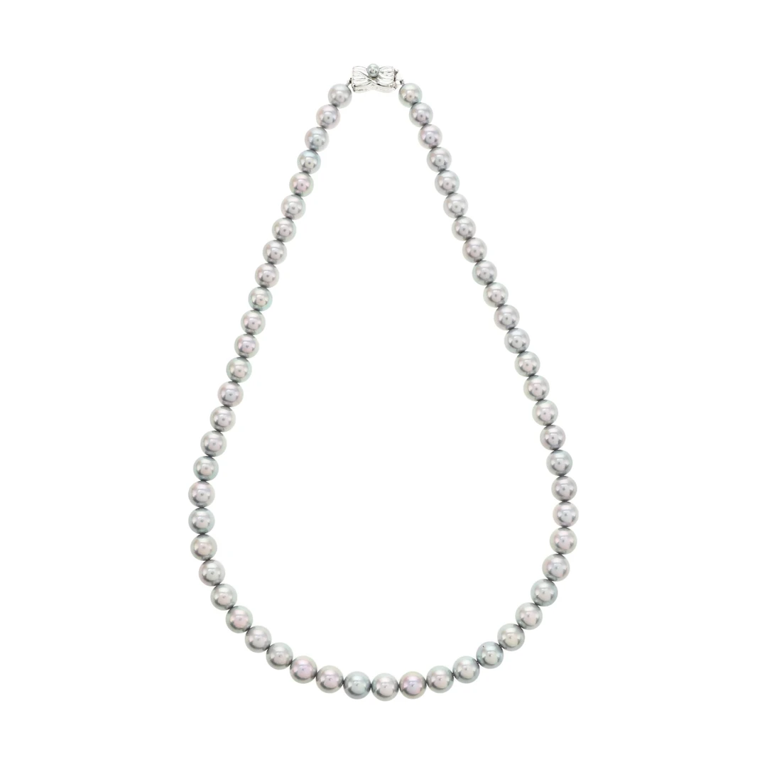 红布林/C1/塔思琦/17196537/z/121105