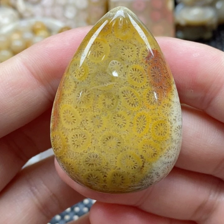 硅化珊瑚（珊瑚玉）颈饰未镶嵌