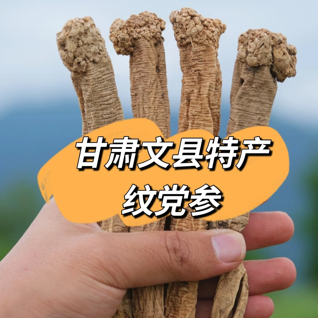 甜妈甄选正宗甘肃岷县纹党参无硫（有菊花心有横纹）100g/250g